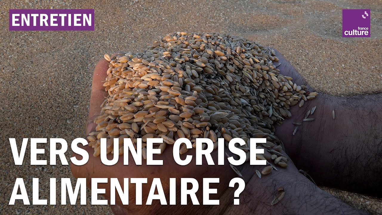 L'Europe face à une crise alimentaire ?