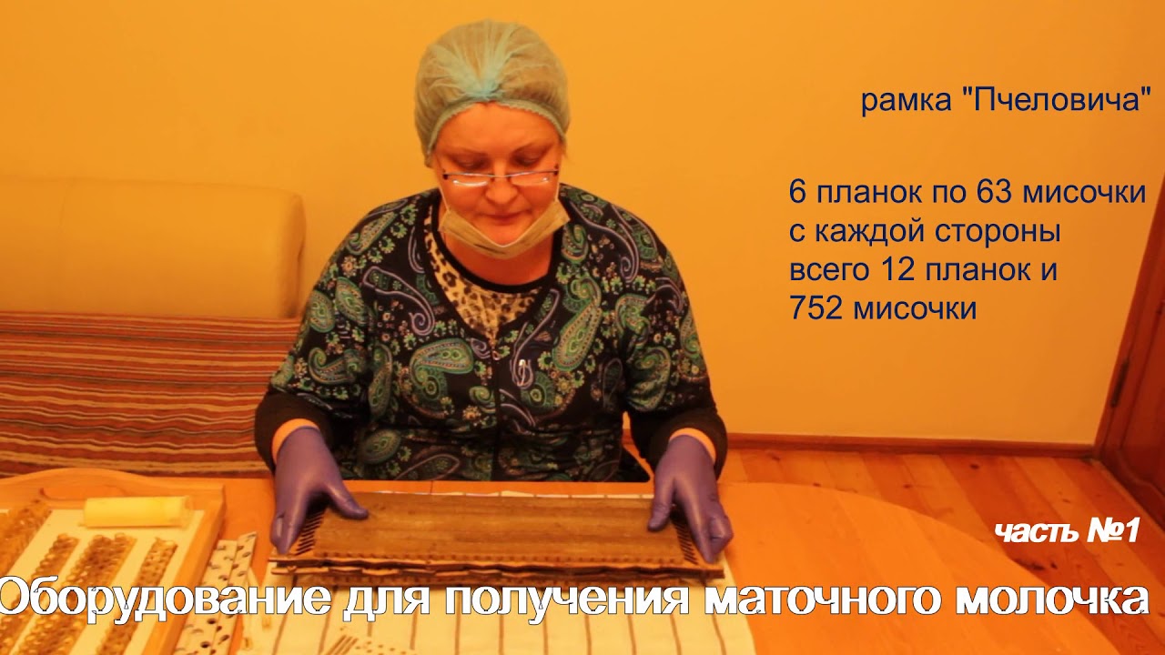 Оборудование для получения маточного молочка.Часть№1 рамка для вывода маток и маточного молочка