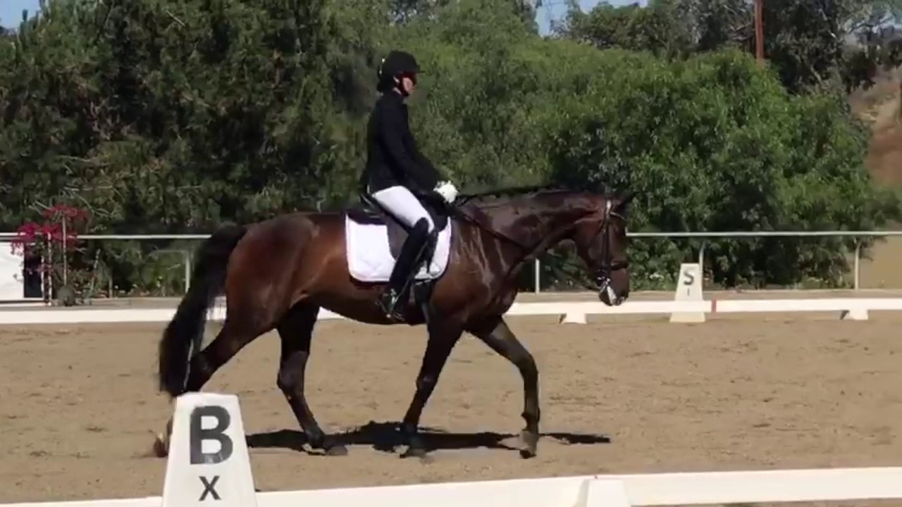 How to Ride Third Level test 1
