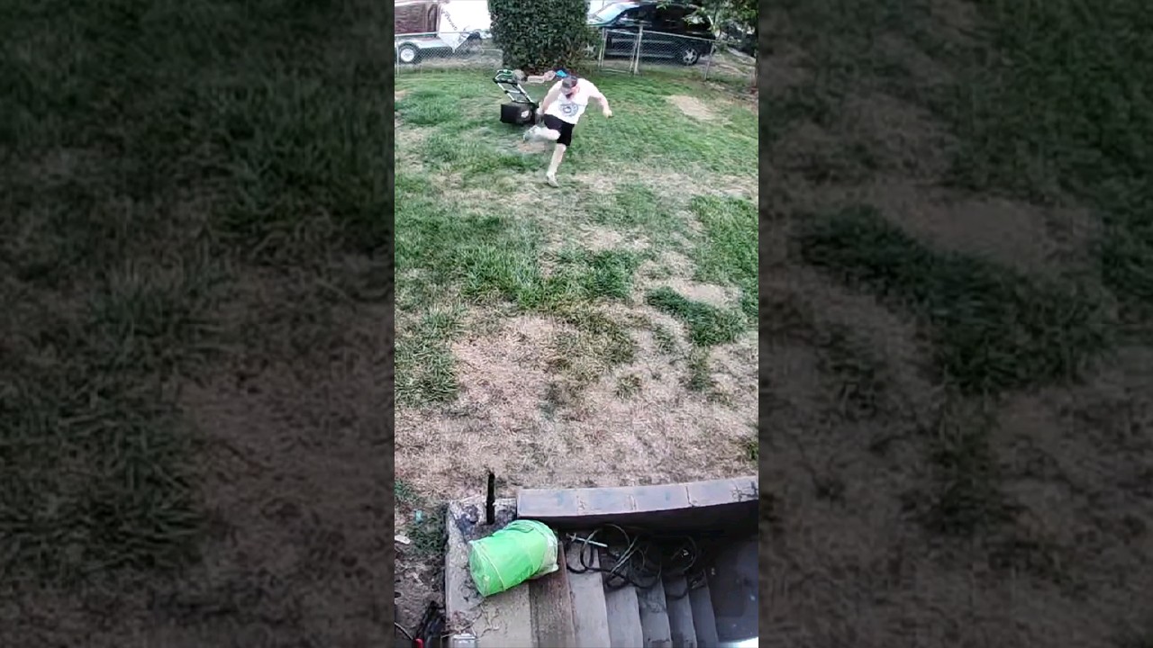 Viciously ATTACKED by SWARM of Yellow Jackets!