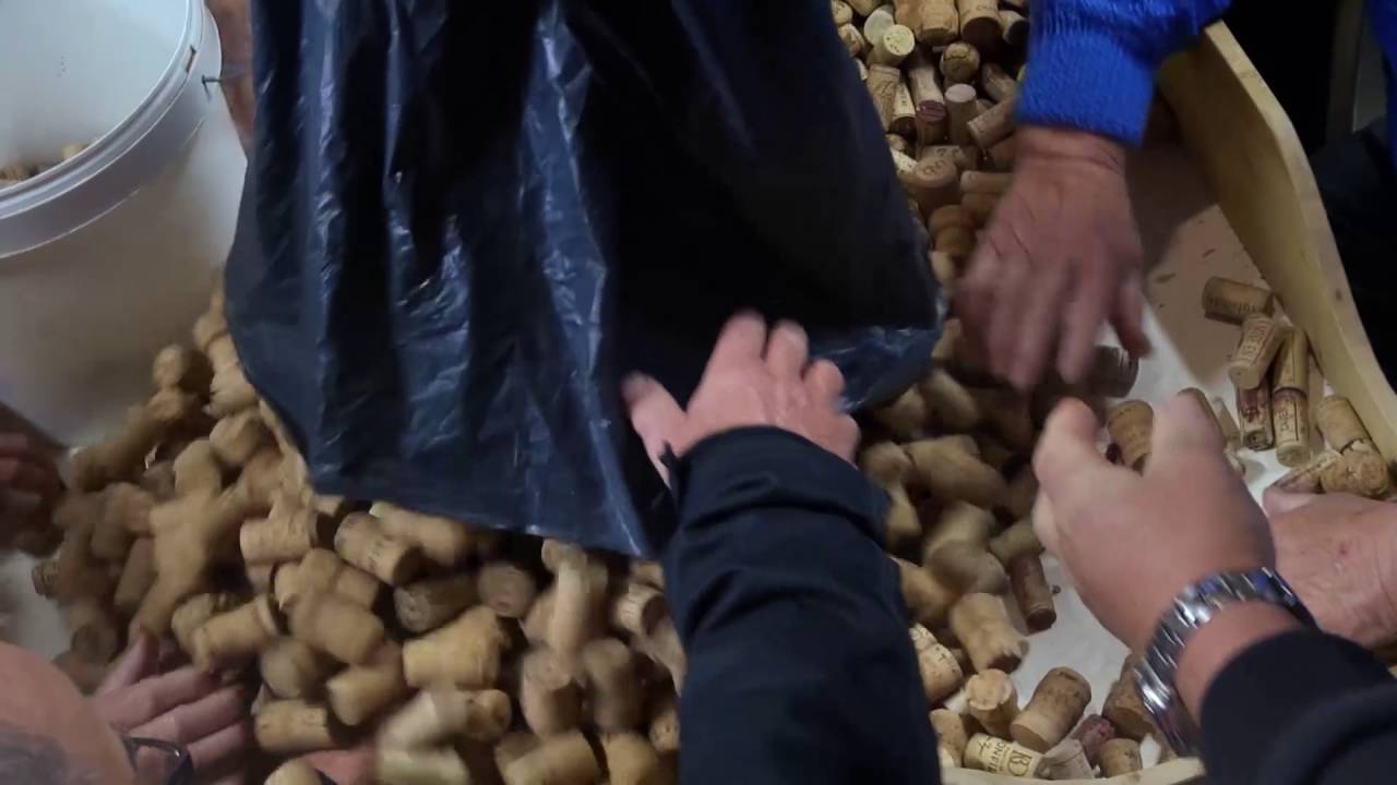La Chaine du Liege / 9ème édition des Trophées du Développement Durable