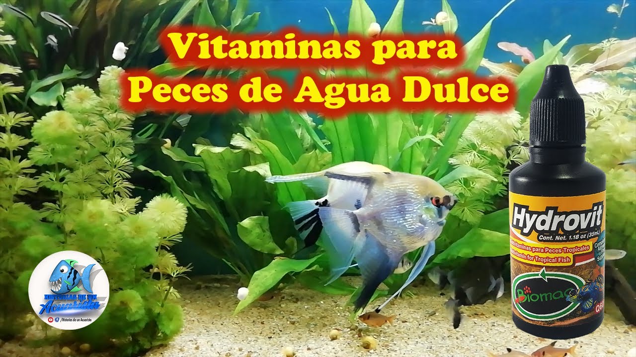 Review Hydrovit Vitaminas para peces de Agua Dulce (BIOMAA)