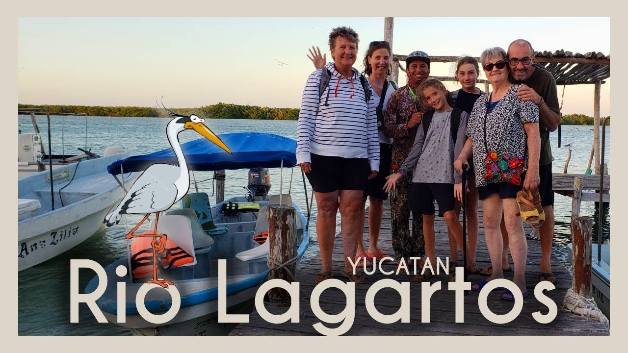 Excursion à Rio Lagartos #flamand 🦩