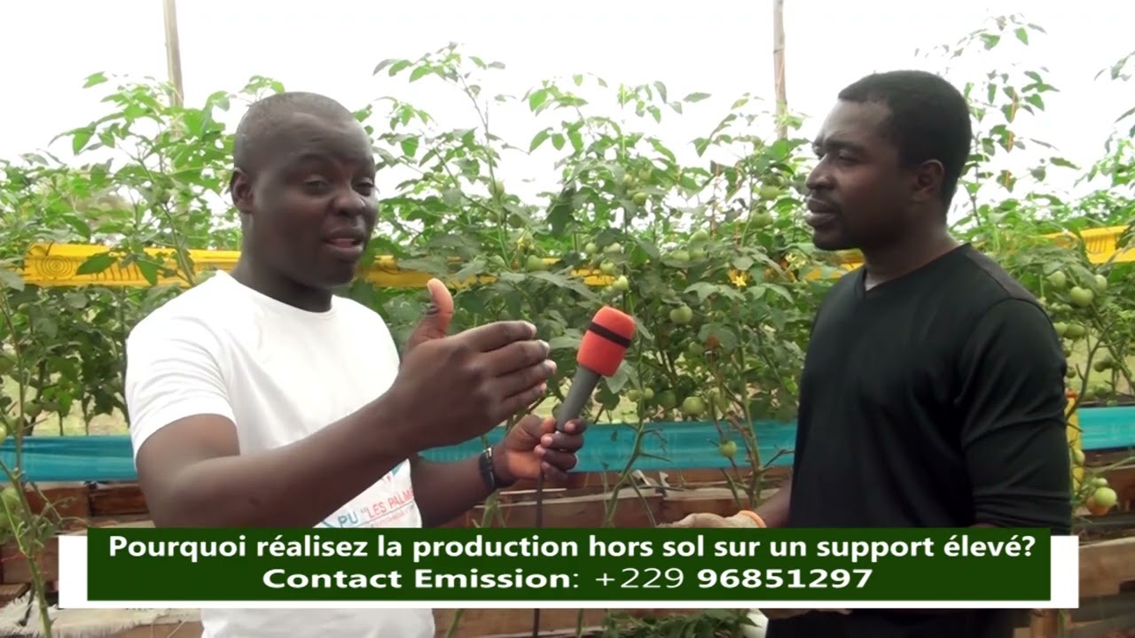 changez vos supports de culture hors sol avant la famine
