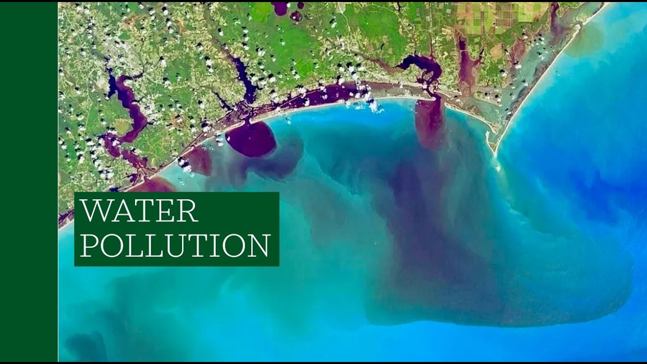 APES 8i Water Pollution Lecture