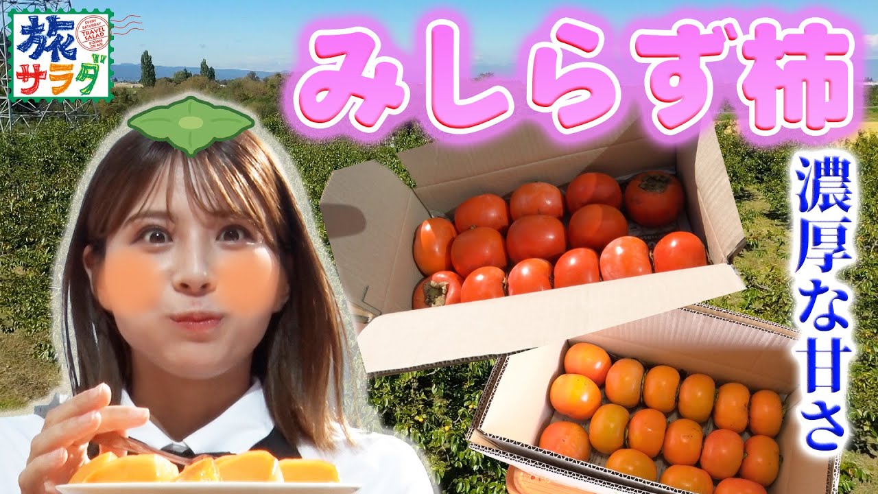 【とろける食感💛】会津の極甘ブランド果実 “みしらず柿”