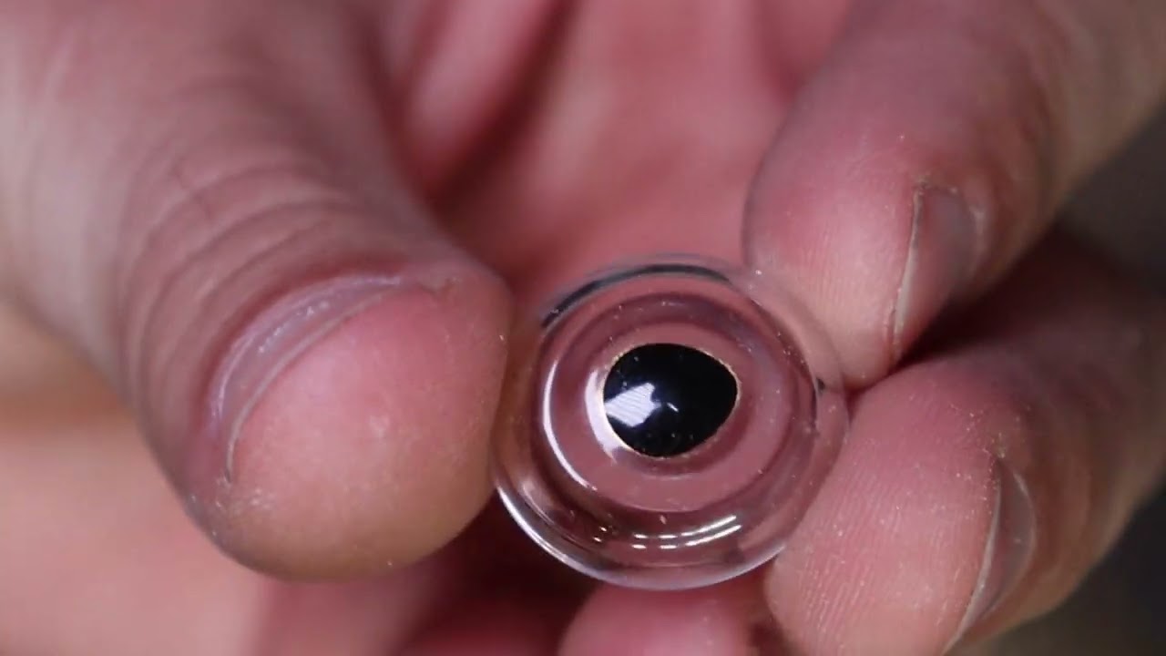 Taxidermy Painting Fish Eyes: Rainbow Trout