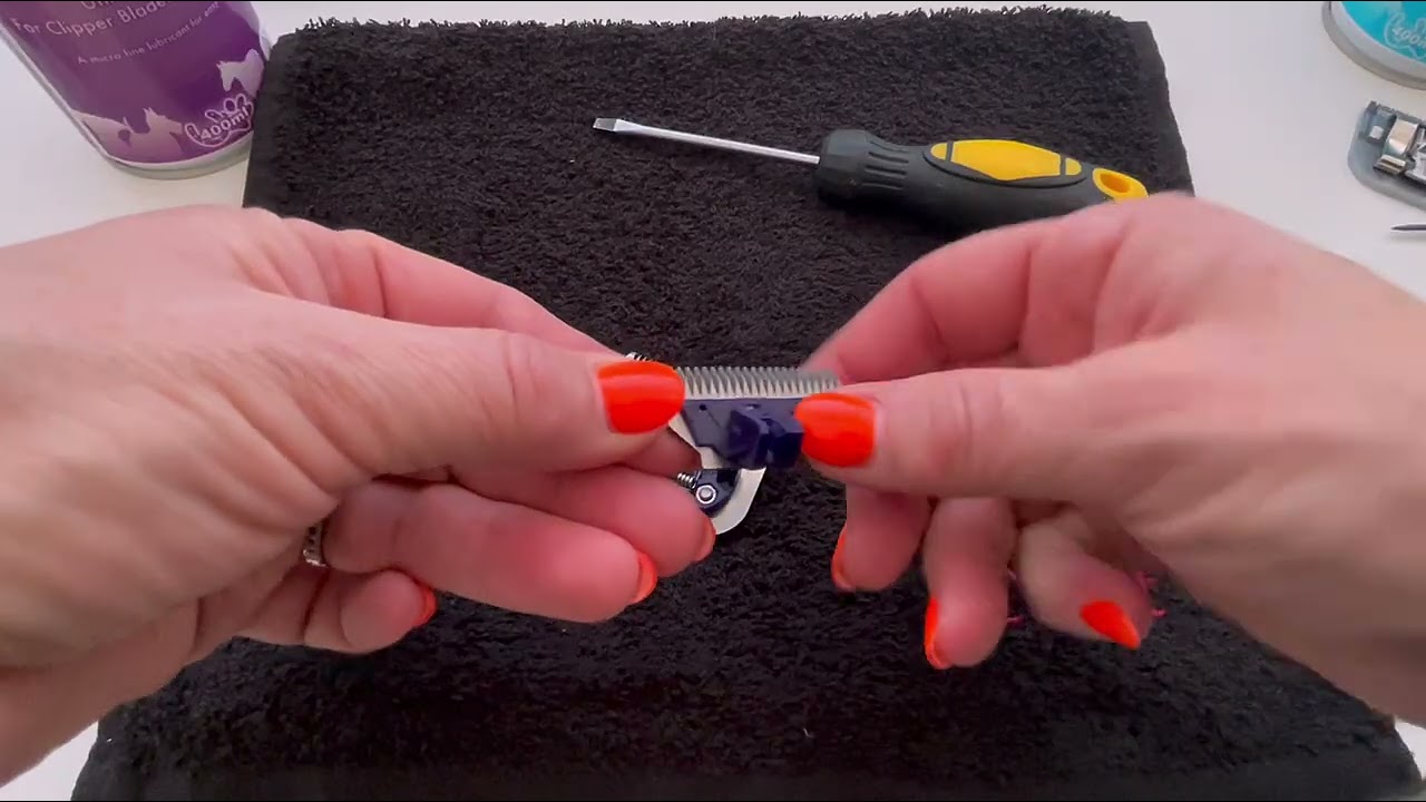 👉 A5 Blades vs Clipit Titanium A5 Blades – What’s the REAL Difference?