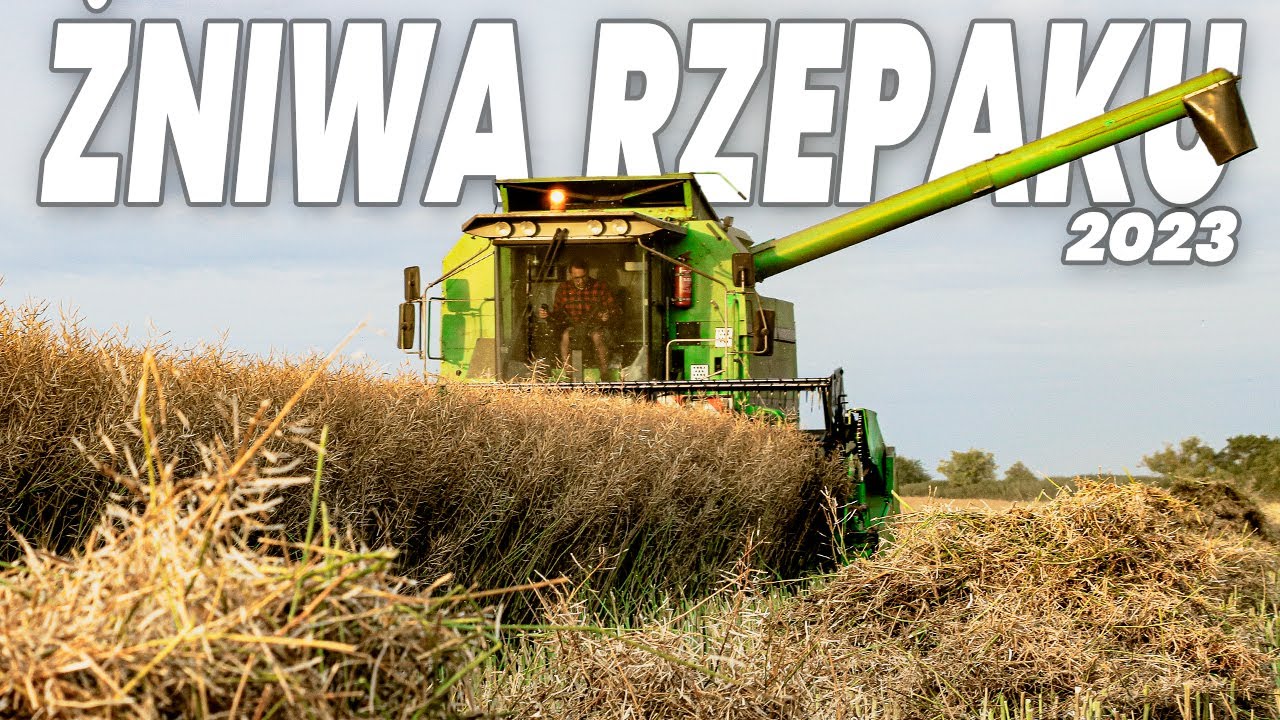 😱Żniwa Rzepaku 2023😱🔥3 Kombajny na jednym polu 🔥Czyli Żniwa W Stadnina Koni Nowe Jankowice 🐴