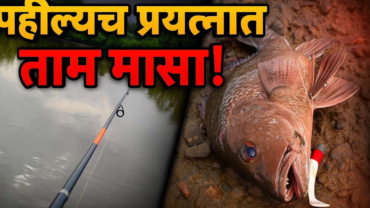 Rod Fishing चा पहिला शॉट, आणि मासा जबरदस्त||First cast first fish||fishing spot 