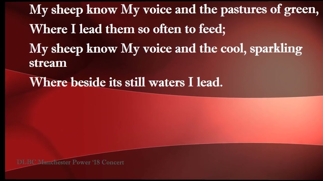 My Sheep Know My Voice (A Solo) -  with Lyrics: Deeper Life Manchester POWER 2018 Concert