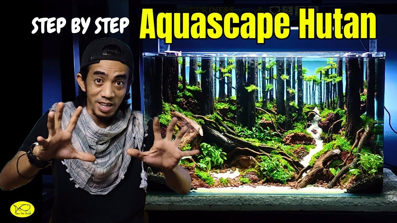 membuat aquascape hutan ukuran 60 cm tutorial belajar aquascape buat pemula | aqua one design