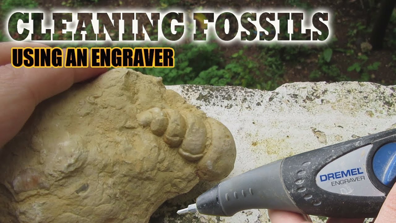 Cleaning Fossil - Using an engraver