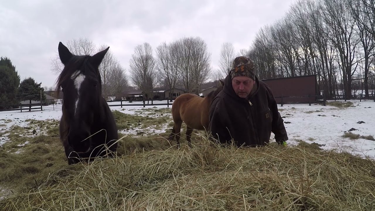 Moving Hay without A Tractor