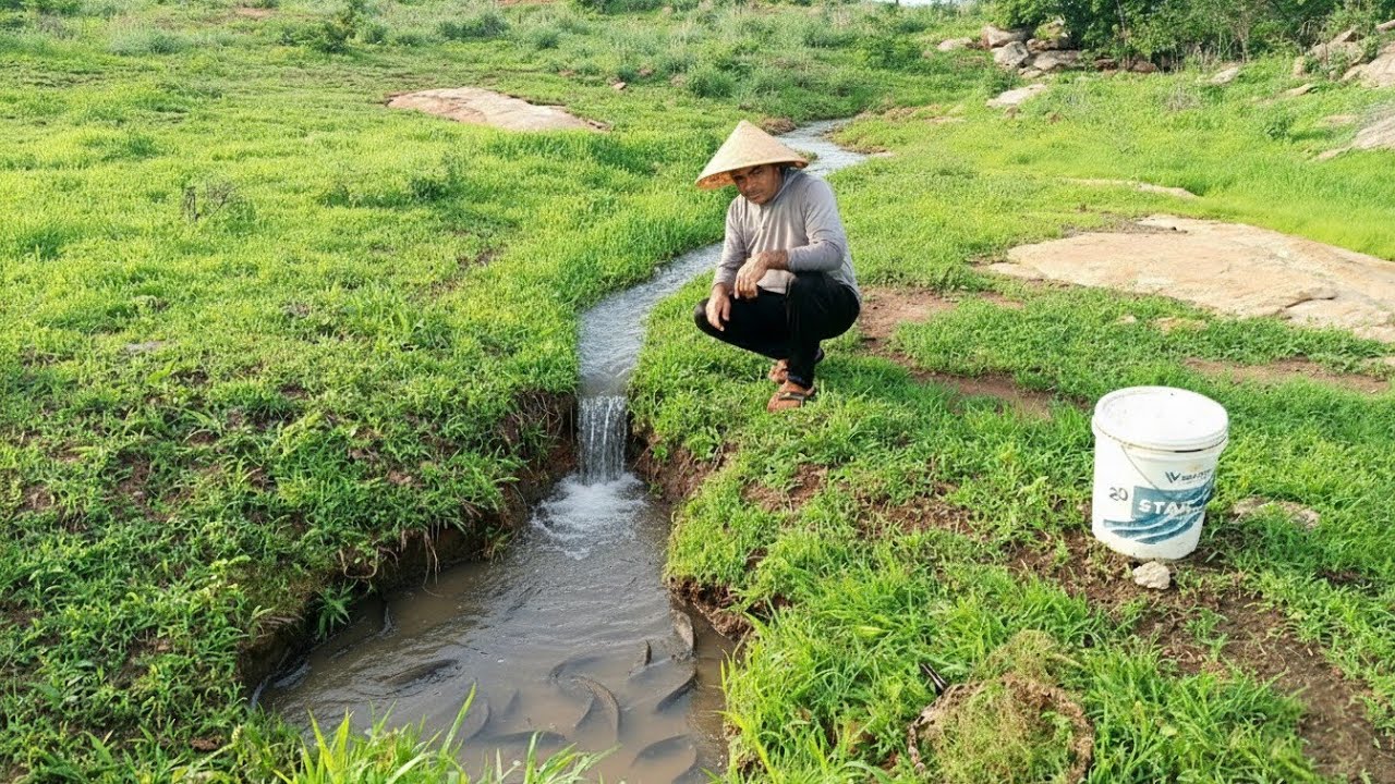 PESCANDO AS CURIMATÃS NOS CÓRREGOS DEPOIS DAS DESOVAS