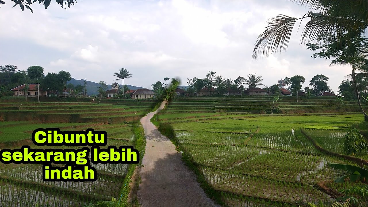 #keindahanalam#cianjurjawabarat indahnya cibuntu sekarang#village#lembursunda
