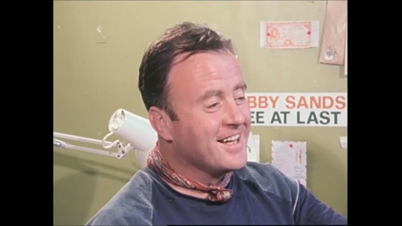Christy Moore interview, Ireland 1984