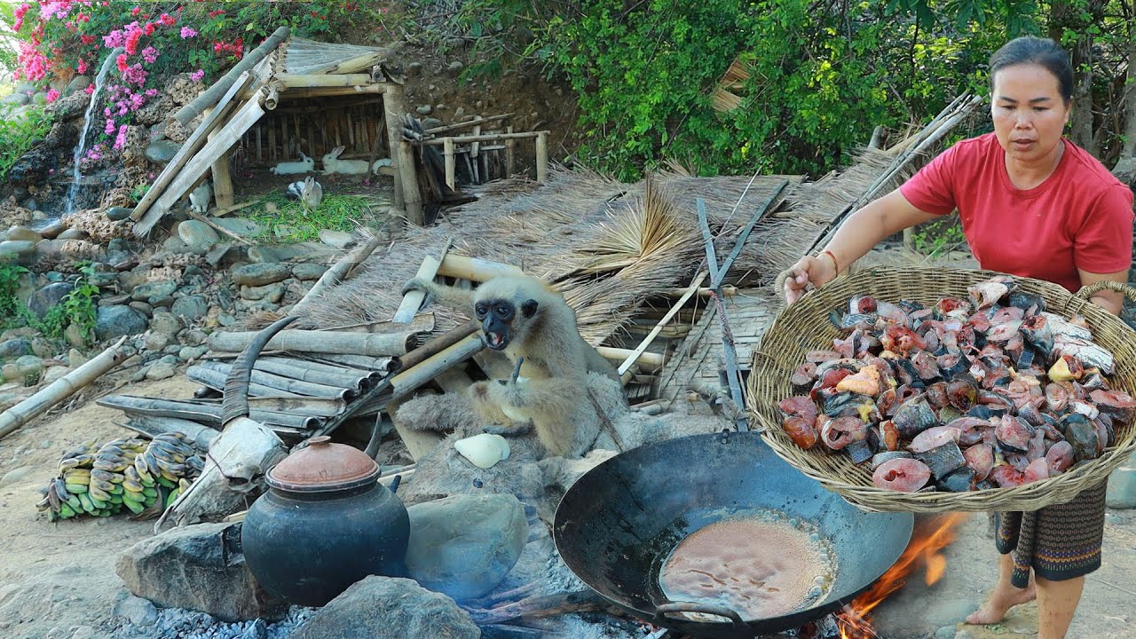 survival in the rainforest-found fishes for cook ,collapsed hut & give to pets HD