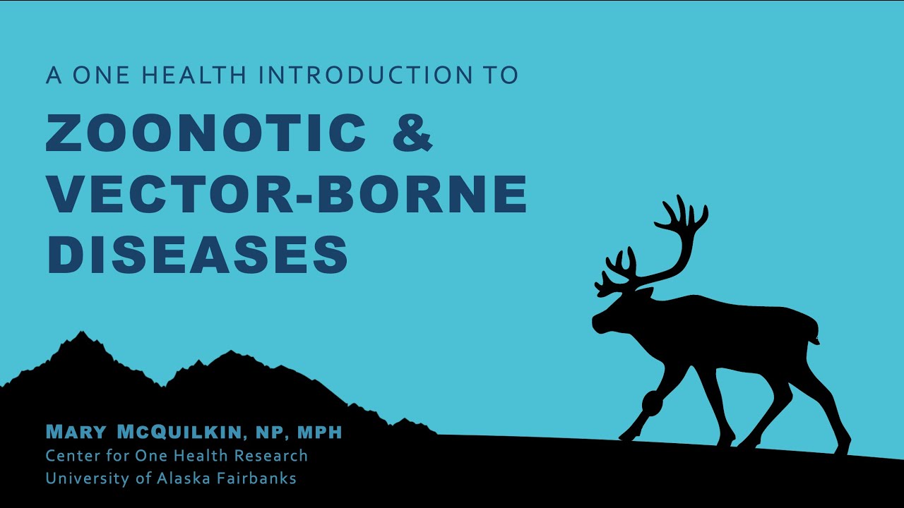 A One Health Introduction to Zoonotic & Vector-Borne Diseases - Part I