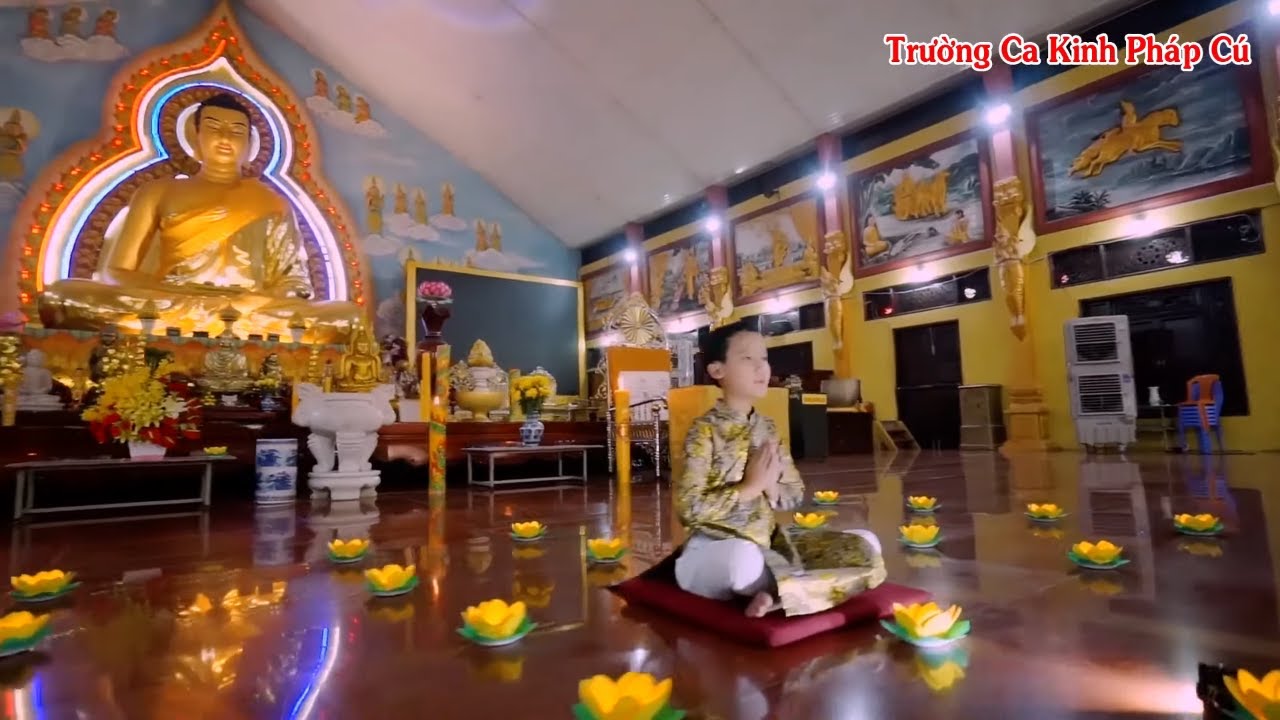 Nhạc Phật Trường Ca Kinh Pháp Cú Tuyển Tập - Bài Kinh Đi Vào Lòng Triệu Phật Tử Tĩnh Tâm