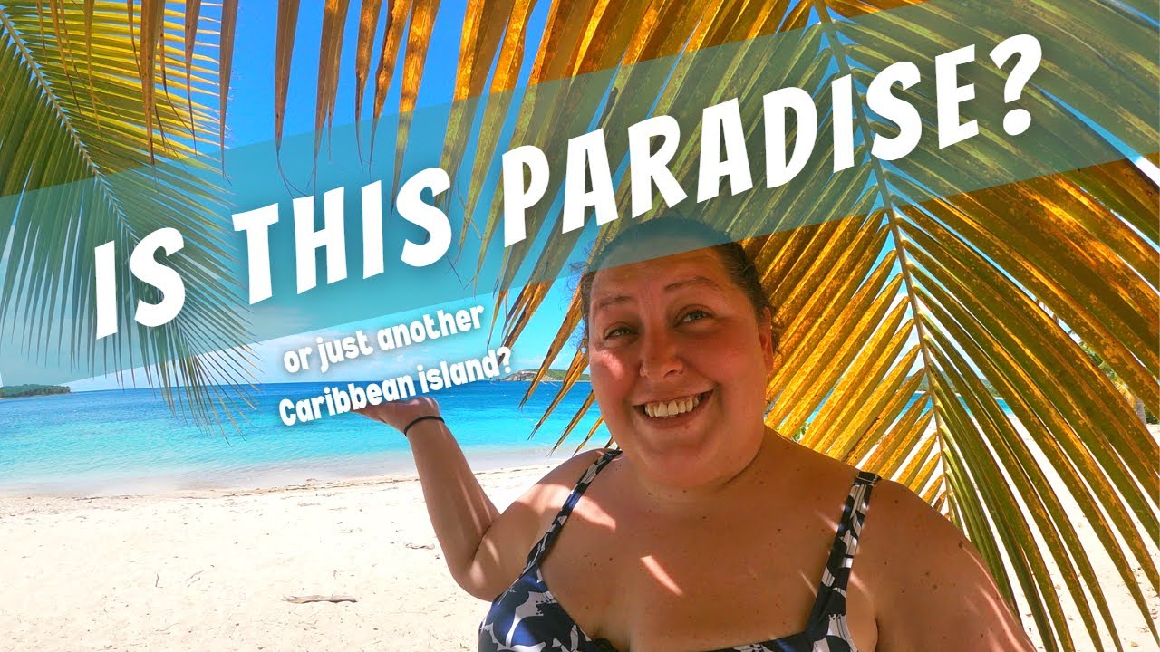 What is Vieques really like?.