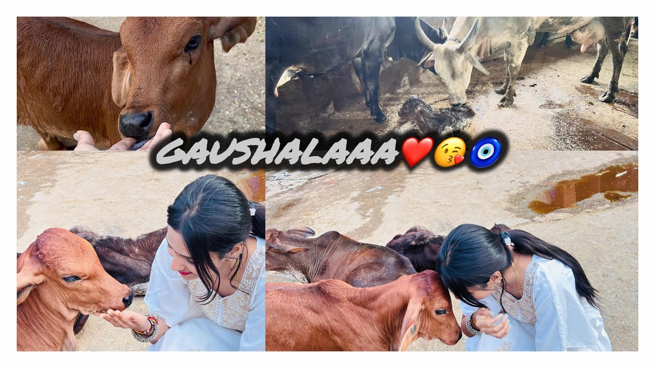 Aaj gye gaushalaaa🥺❤️//tbyttt bi khrb🥹🫠