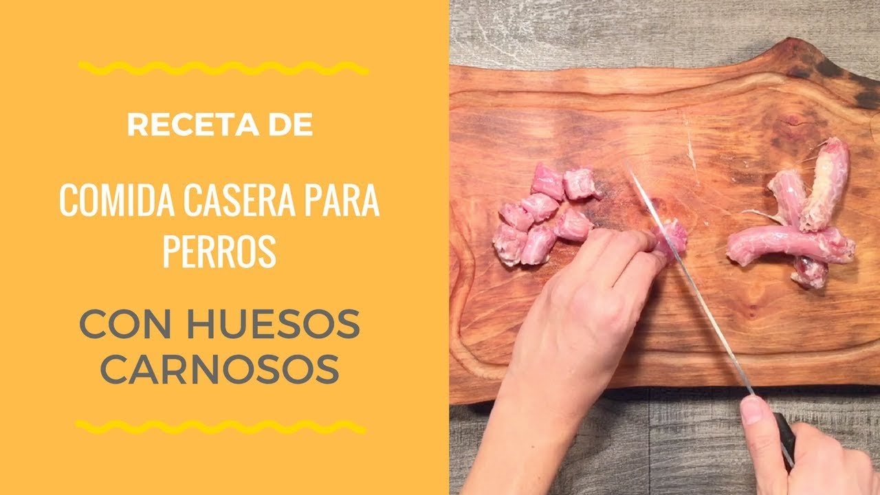 5. Comida Casera para Perros | Incorporando huesos ¡Crudos!
