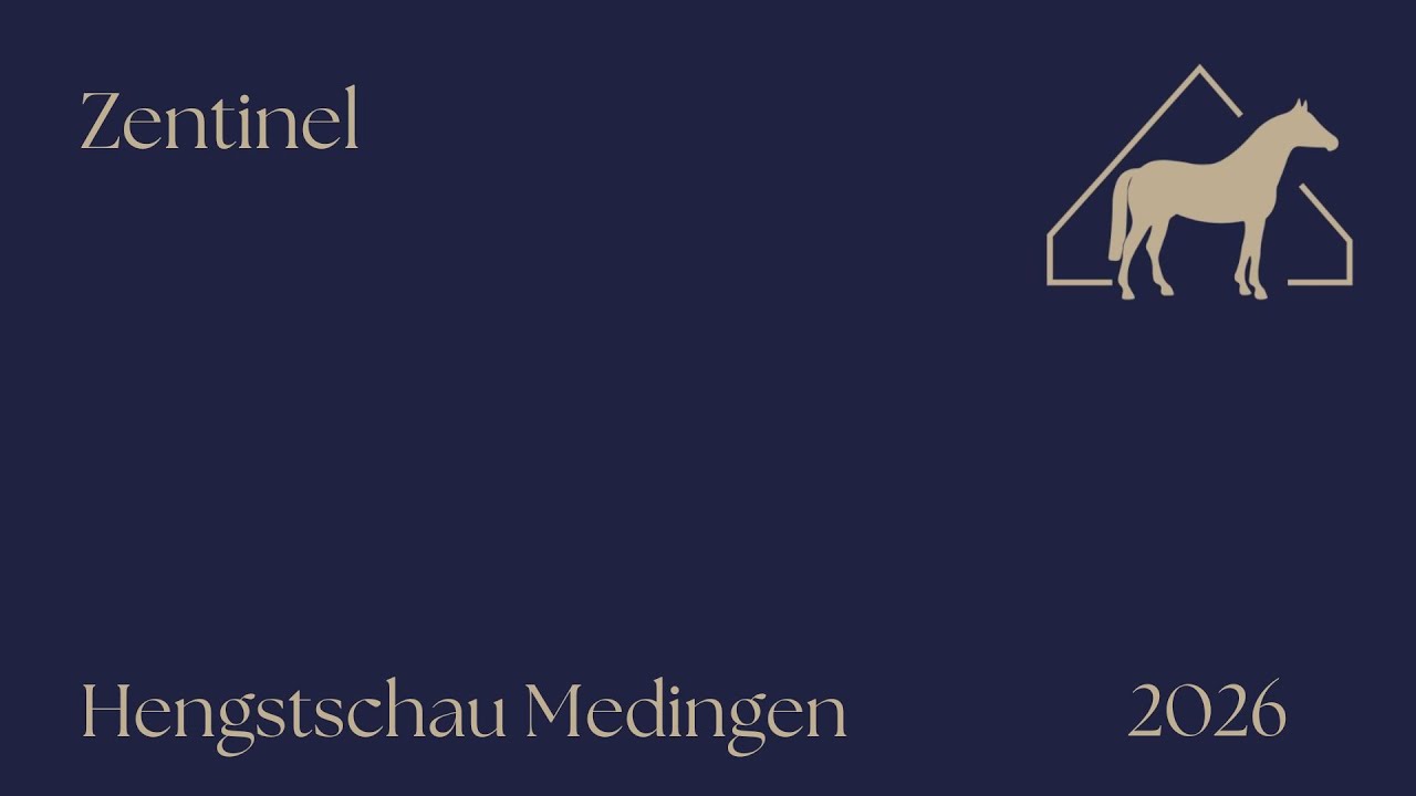 Hengstschau 2026 Zentinel