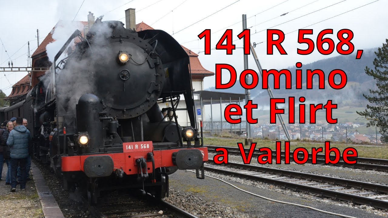 Locomotive a vapeur (141R) et autres trains a Vallorbe (Suisse)