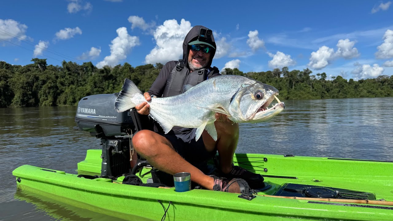 NÃO DÁ PRA ACREDITAR O QUE FIZERAM COM ESSE PEIXE