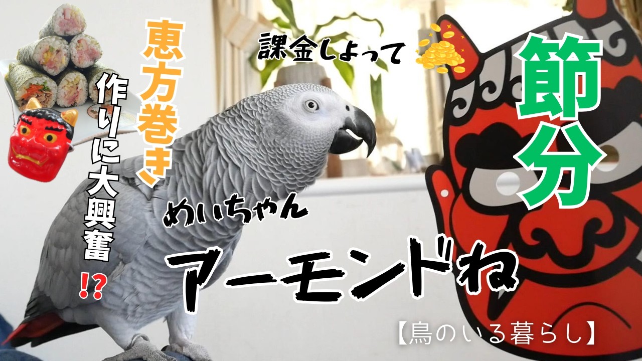 【節分】恵方巻き作りに大興奮なヨウム🐥自分の分もちゃっかり要求【鳥のいる暮らし】