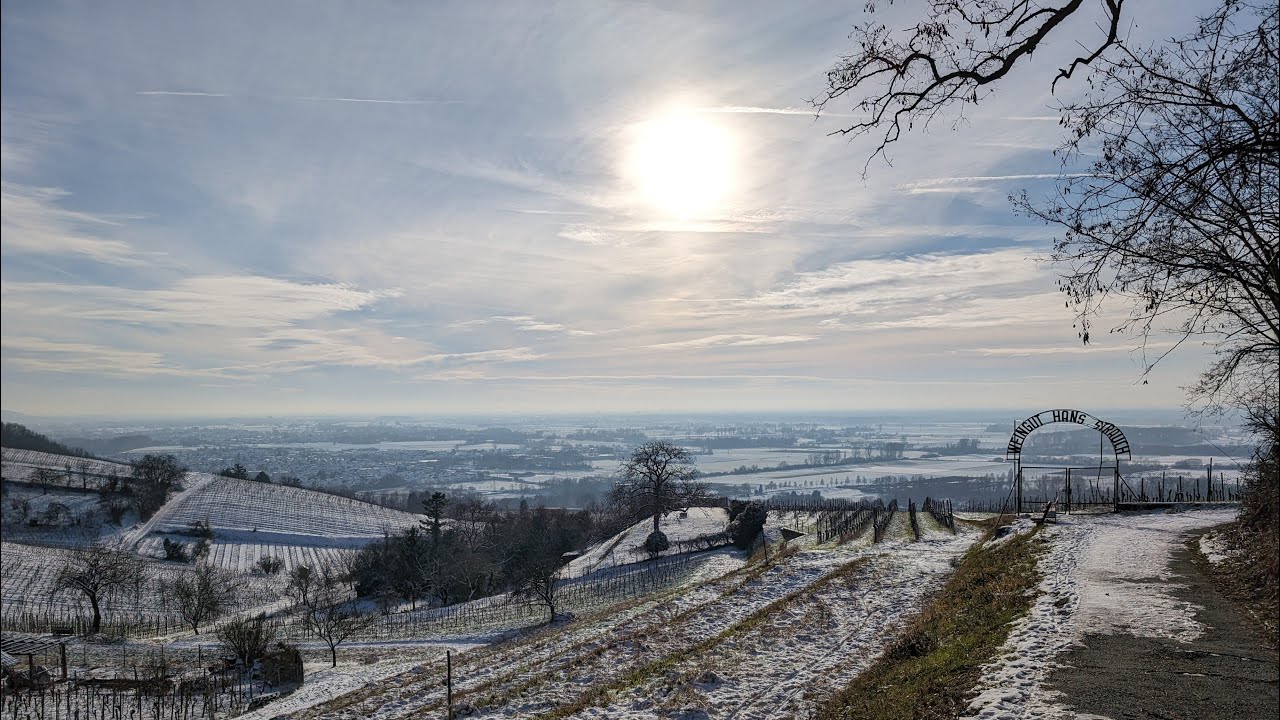 Blütenweg-Burgensteig-Schleife zwischen Laudenbach und Heppenheim im Januar in 4K