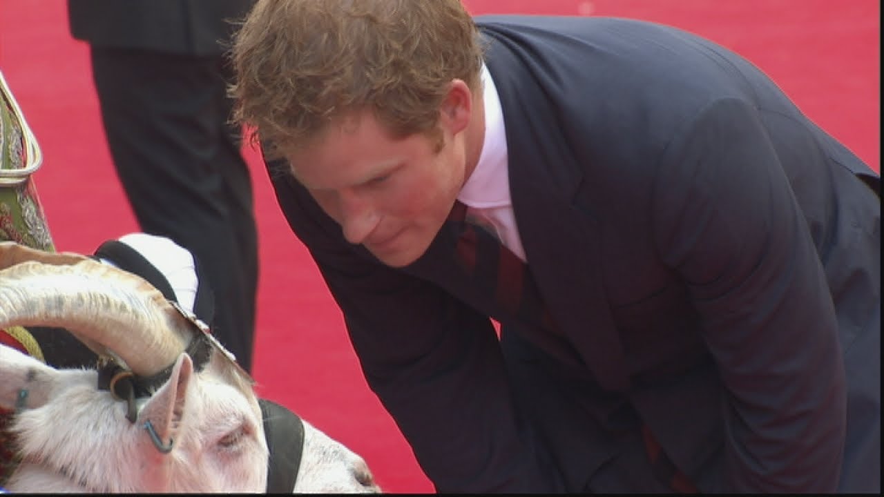 Prince Harry meets goat called Shenkin at Zulu screening