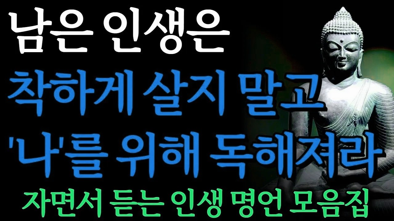 남은 인생은 오로지 나를 위해 독하게 살아라 I 노후에 후회 없이 행복하게 사는 사람 특징 I 자면서 듣는 부처님 명언 4시간 I 오디오북ㅣ낭독ㅣ독경 I 삶의 지혜 I 좋은 말씀