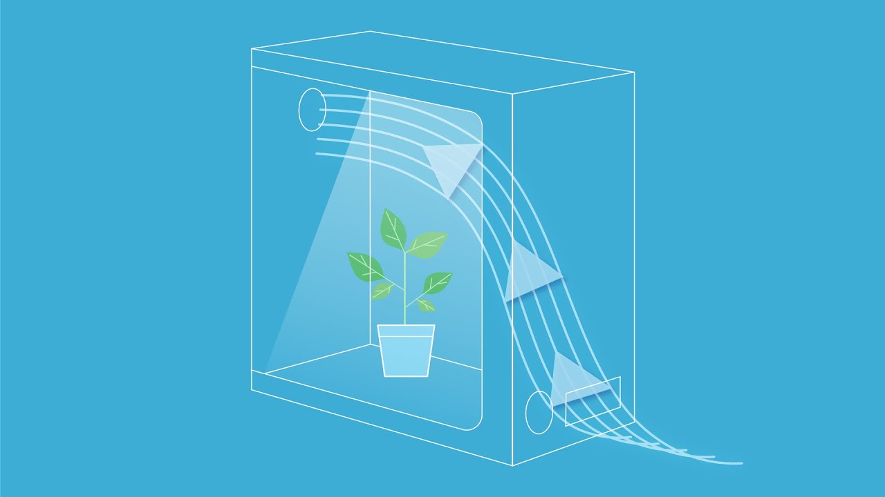 Introduction to TEMPERATURE AND HUMIDITY - Grow Guide by AC Infinity