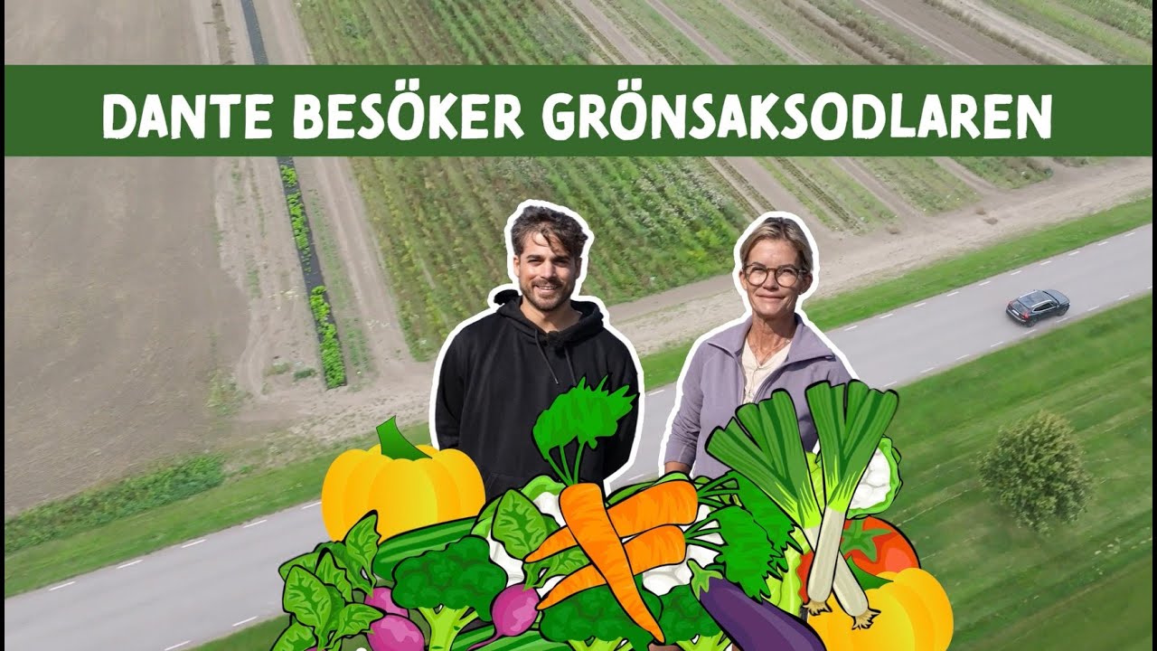Dante besöker grönsaksodlaren Magdalena