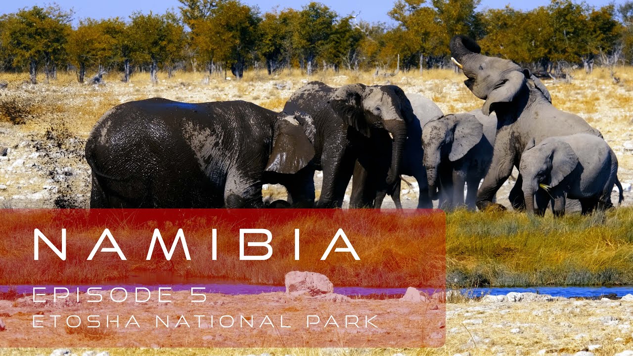 Namibia Roadtrip & Fototour - Episode 5 - Etosha National Park