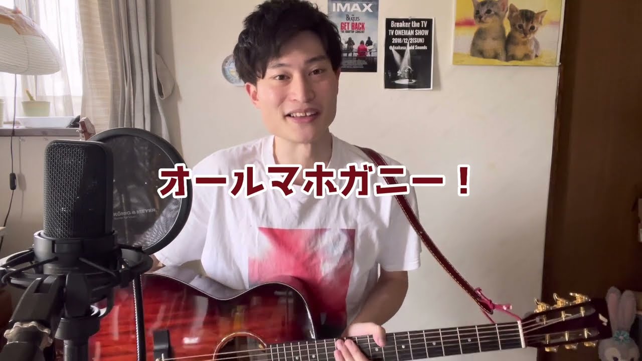 持っているギター紹介！①アコギ編