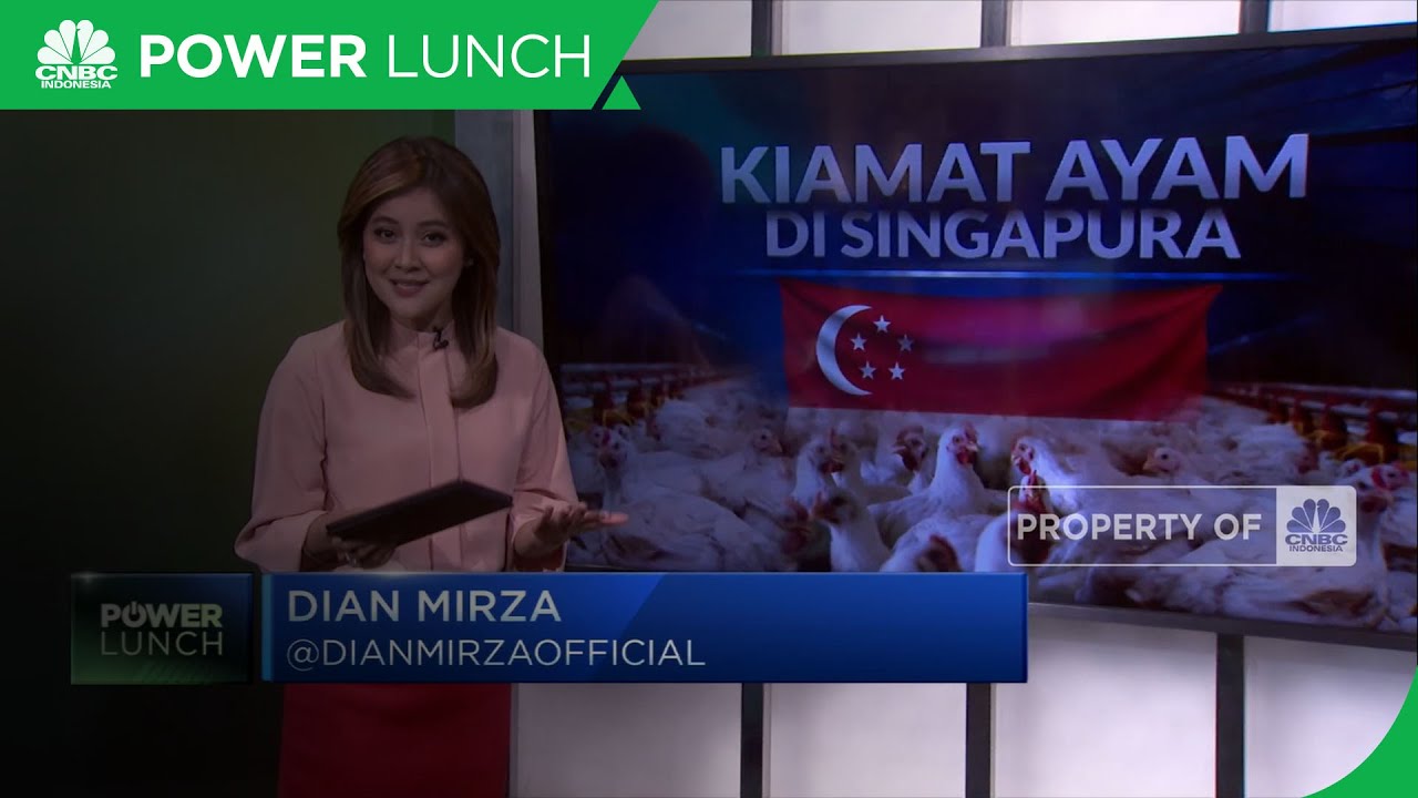 Kiamat Ayam di Singapura