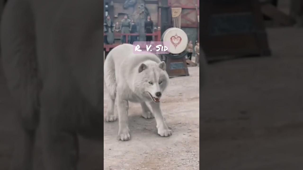 shining just for you ep 1 xiu ming saves ye ling #fengshao #pengxiao #shorts #viral