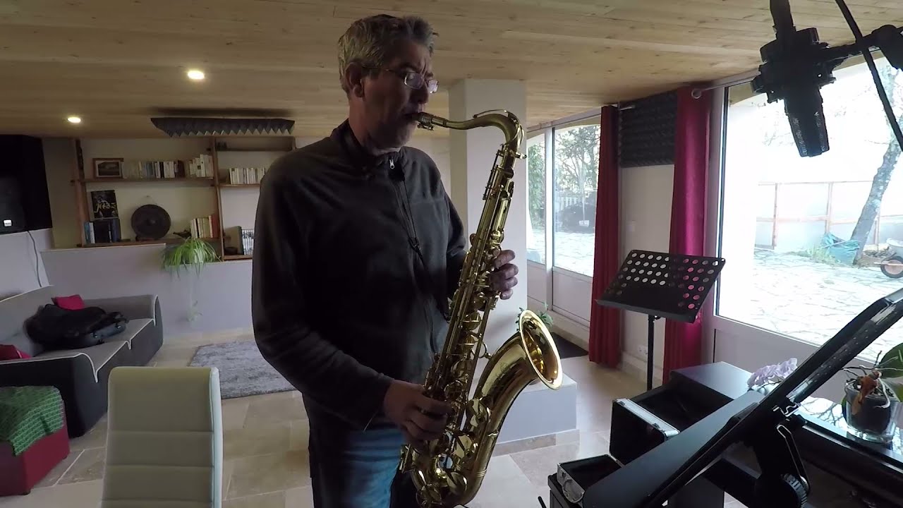 Hey Jude -The Beatles (tenor saxophone version)