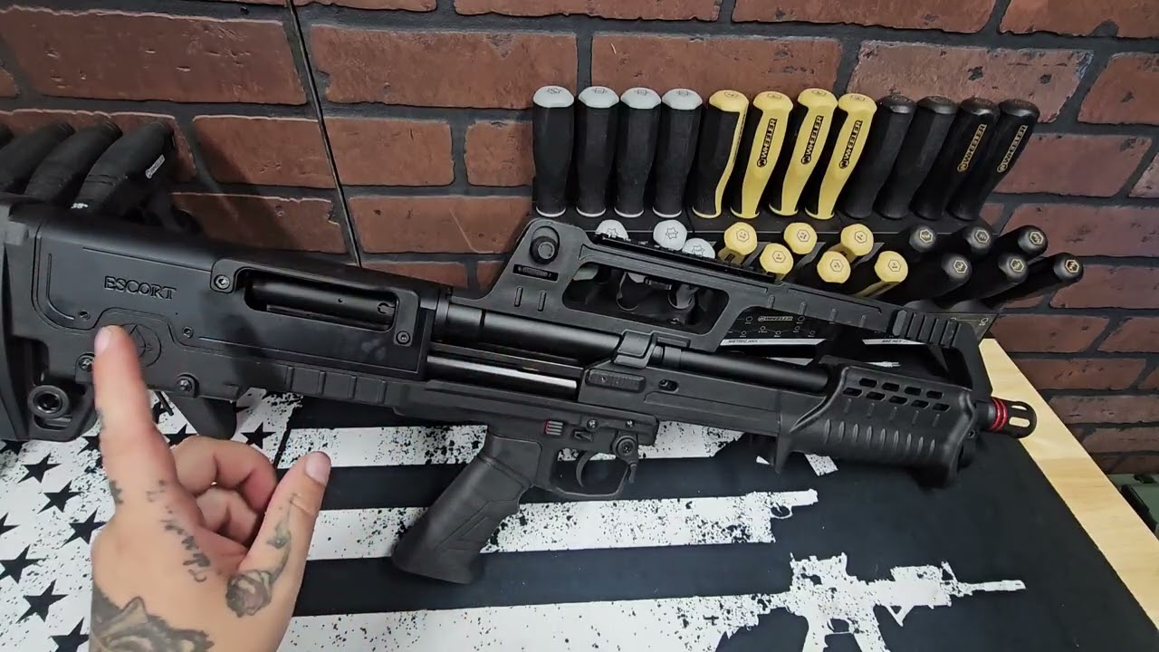 Первые впечатления от дробовика Escort Bull-Tac 12g