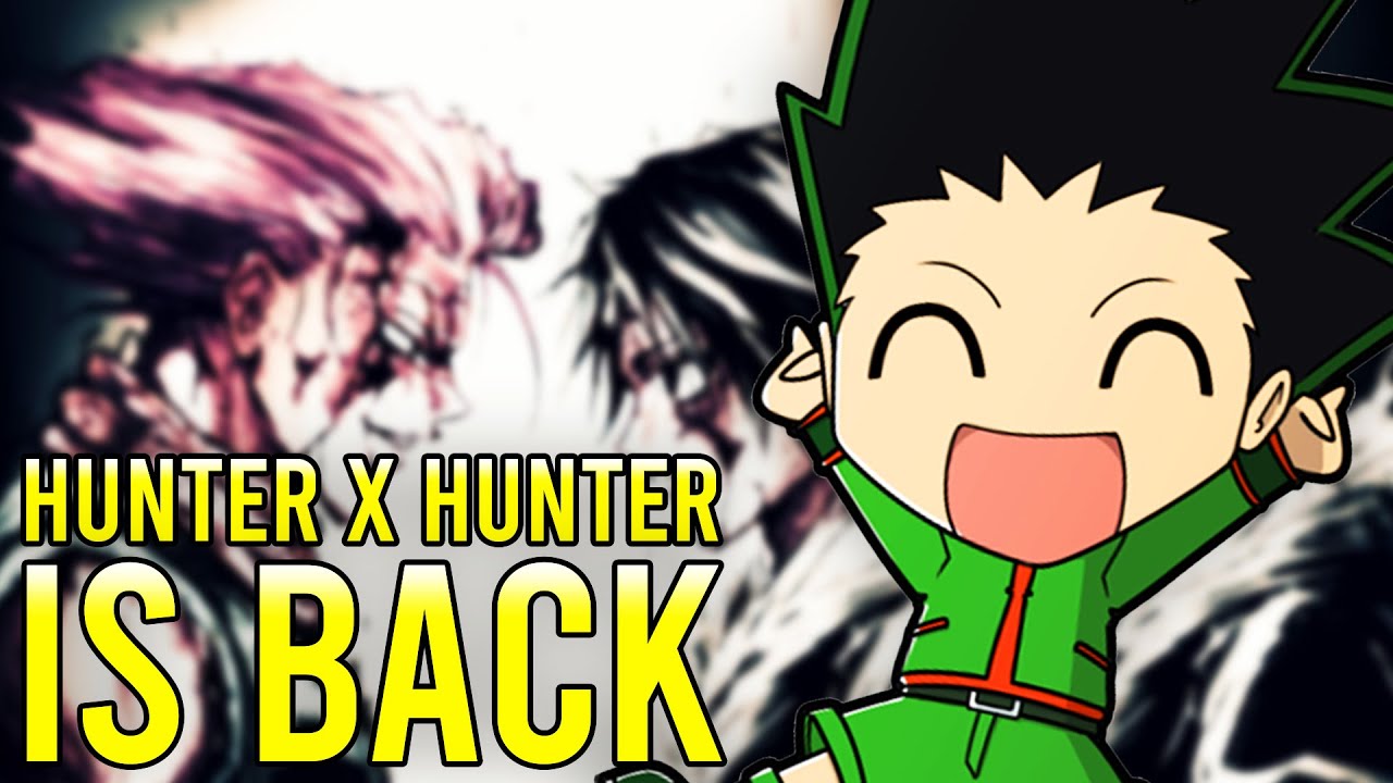 What Happens After The Anime in HxH