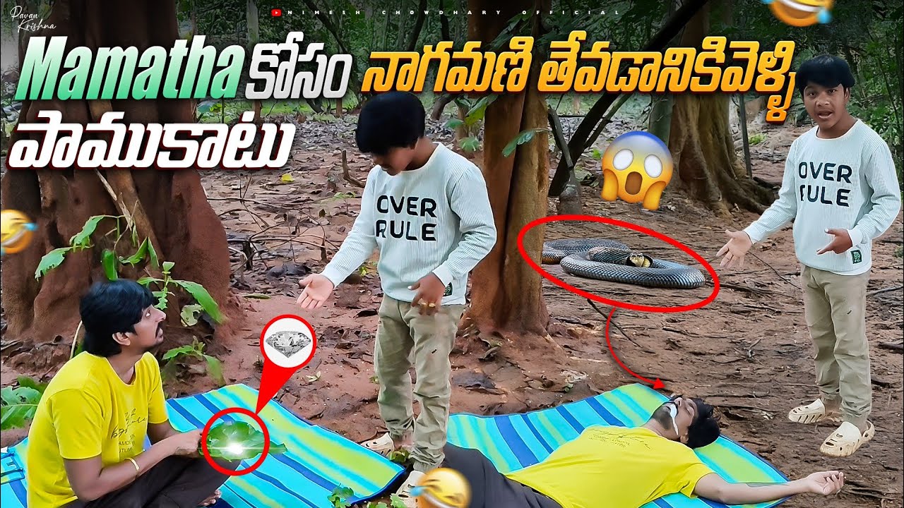 NAGA MANI DORIKINDI 