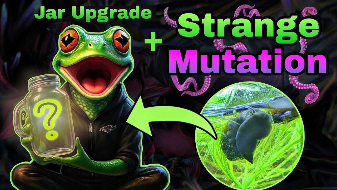 RARE Bladder Snail MUTATION Discovered! | Wild Physa Trait + Aquarium Upgrade