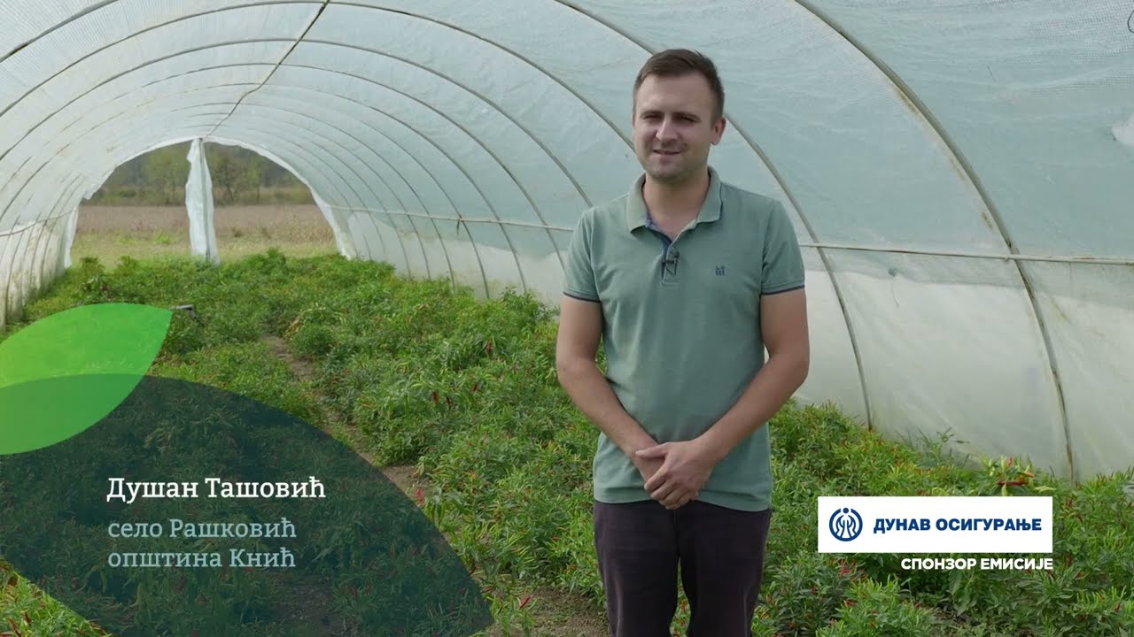 Naša priča ep. 422 28.09.2023. Dušan Tašović, Rašković, papričice, karolina riper, aja čarapita
