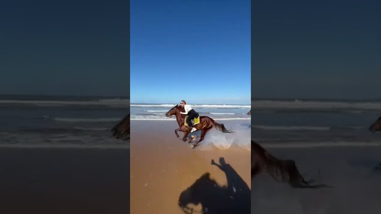 Amazing race on beach ? #hores #race #beach