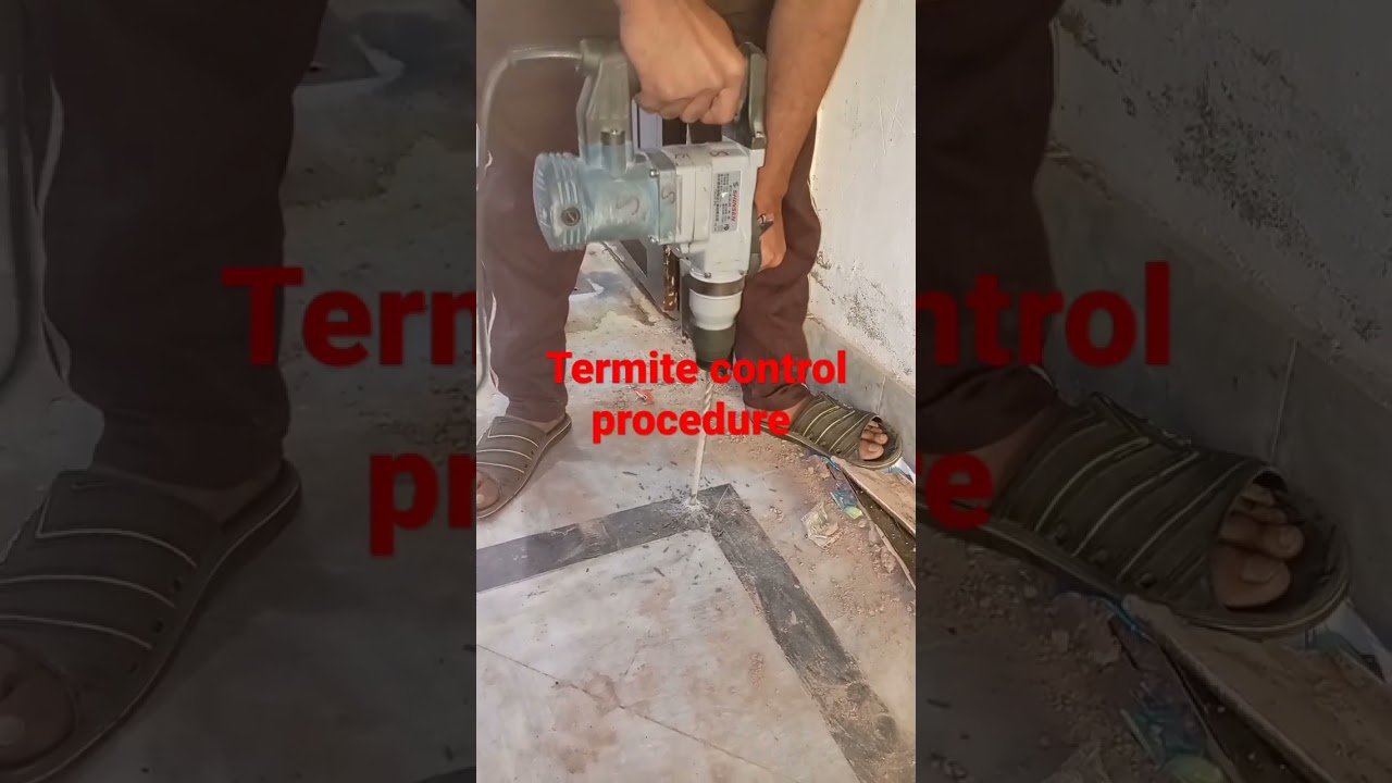 Termite control #agriculture #termitecontrol