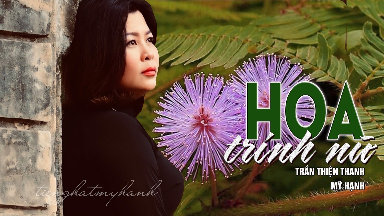 HOA TRINH NỮ -sáng tác TRẦN THIỆN THANH -tiếng hát MỸ HẠNH