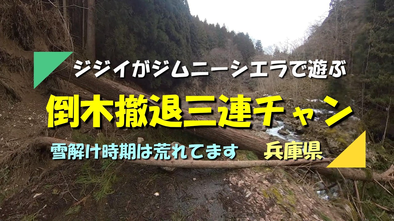 【ジムニー】少しは雪解けも進んだかと北部の林道へ行ってみたら まさかの倒木３連チャンで撤退（兵庫県）